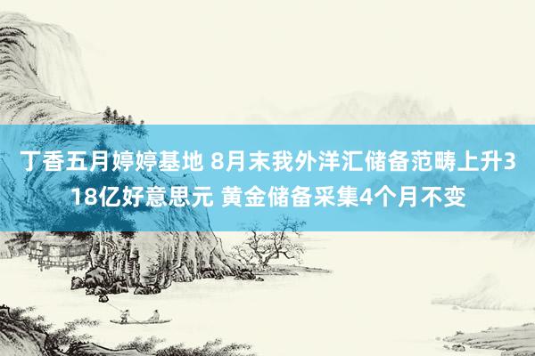 丁香五月婷婷基地 8月末我外洋汇储备范畴上升318亿好意思元 黄金储备采集4个月不变