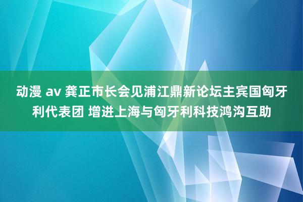 动漫 av 龚正市长会见浦江鼎新论坛主宾国匈牙利代表团 增进上海与匈牙利科技鸿沟互助