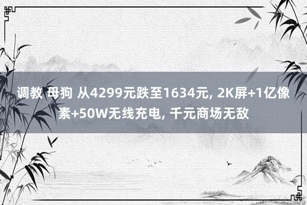 调教 母狗 从4299元跌至1634元， 2K屏+1亿像素+50W无线充电， 千元商场无敌