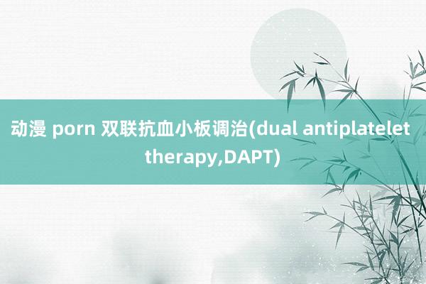 动漫 porn 双联抗血小板调治(dual antiplatelet therapy，DAPT)