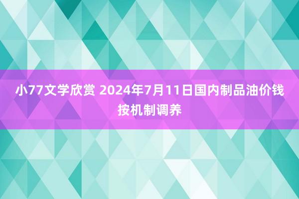 小77文学欣赏 2024年7月11日国内制品油价钱按机制调养