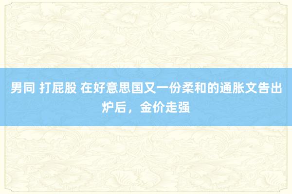 男同 打屁股 在好意思国又一份柔和的通胀文告出炉后，金价走强