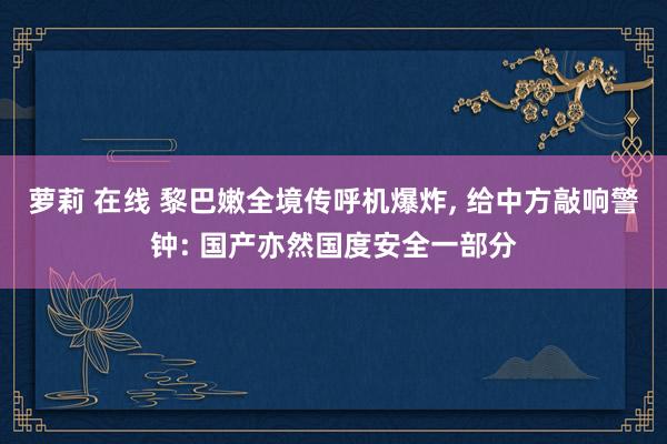 萝莉 在线 黎巴嫩全境传呼机爆炸， 给中方敲响警钟: 国产亦然国度安全一部分