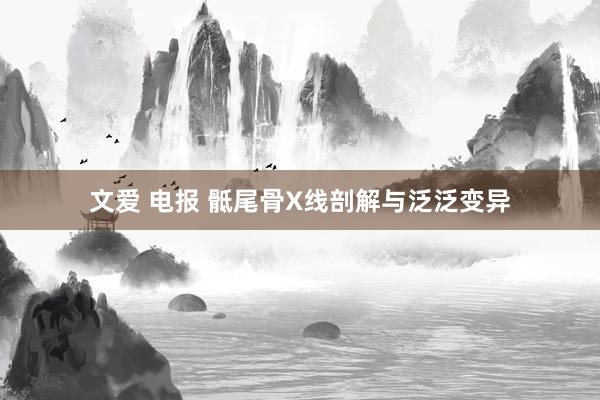 文爱 电报 骶尾骨X线剖解与泛泛变异