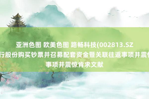 亚洲色图 欧美色图 路畅科技(002813.SZ)：拒绝刊行股份购买钞票并召募配套资金暨关联往返事项并震惊肯求文献