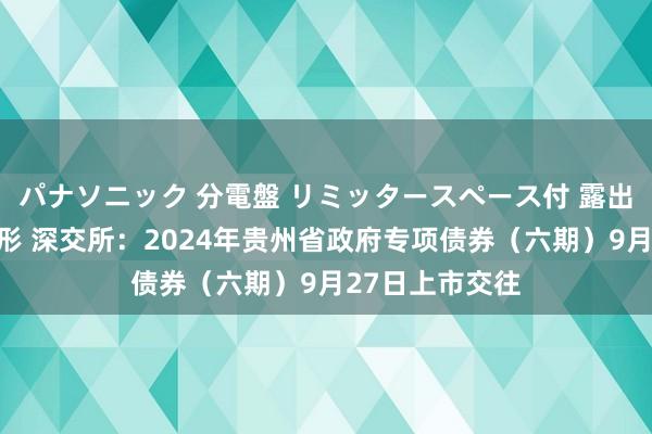 パナソニック 分電盤 リミッタースペース付 露出・半埋込両用形 深交所：2024年贵州省政府专项债券（六期）9月27日上市交往