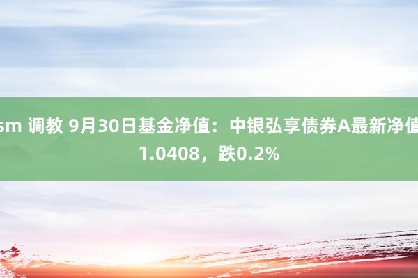 sm 调教 9月30日基金净值：中银弘享债券A最新净值1.0408，跌0.2%