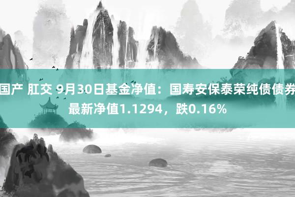 国产 肛交 9月30日基金净值：国寿安保泰荣纯债债券最新净值1.1294，跌0.16%