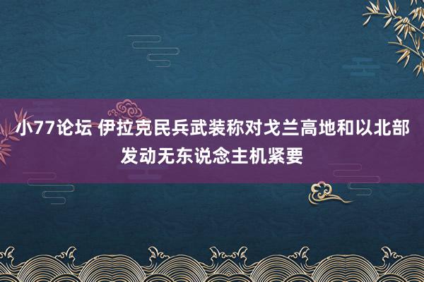 小77论坛 伊拉克民兵武装称对戈兰高地和以北部发动无东说念主机紧要