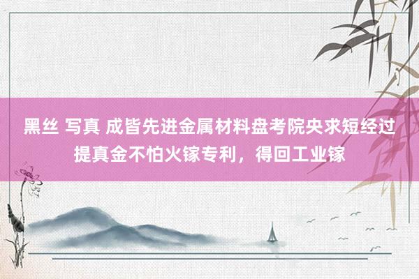 黑丝 写真 成皆先进金属材料盘考院央求短经过提真金不怕火镓专利，得回工业镓