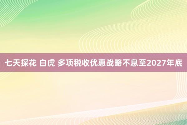 七天探花 白虎 多项税收优惠战略不息至2027年底