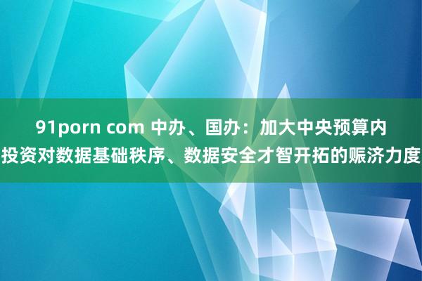 91porn com 中办、国办：加大中央预算内投资对数据基础秩序、数据安全才智开拓的赈济力度