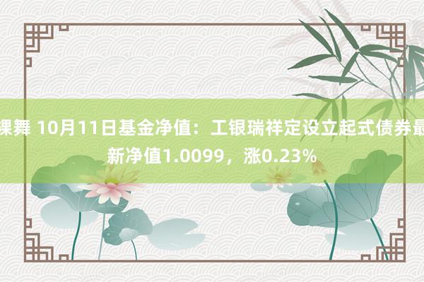 裸舞 10月11日基金净值：工银瑞祥定设立起式债券最新净值1.0099，涨0.23%