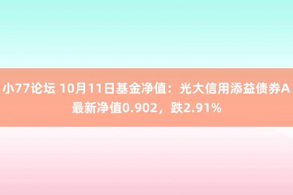 小77论坛 10月11日基金净值：光大信用添益债券A最新净值0.902，跌2.91%