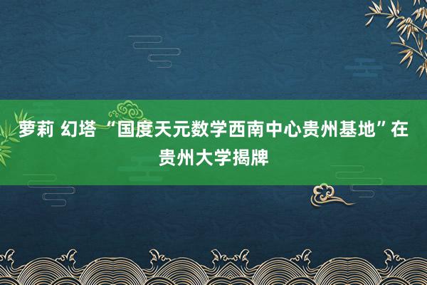 萝莉 幻塔 “国度天元数学西南中心贵州基地”在贵州大学揭牌