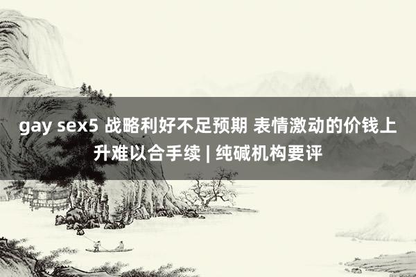 gay sex5 战略利好不足预期 表情激动的价钱上升难以合手续 | 纯碱机构要评