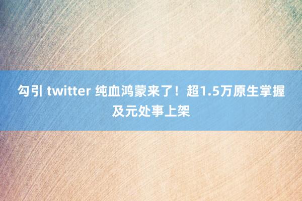 勾引 twitter 纯血鸿蒙来了！超1.5万原生掌握及元处事上架