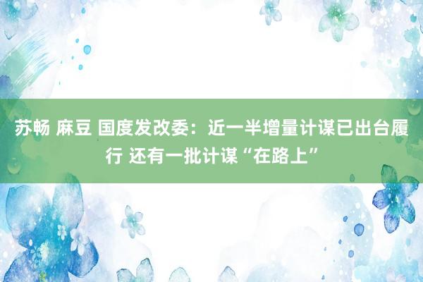 苏畅 麻豆 国度发改委：近一半增量计谋已出台履行 还有一批计谋“在路上”