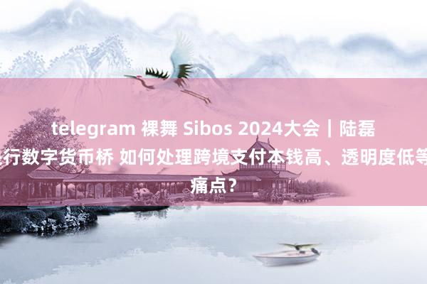 telegram 裸舞 Sibos 2024大会｜陆磊详解央行数字货币桥 如何处理跨境支付本钱高、透明度低等痛点？