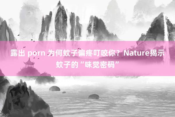 露出 porn 为何蚊子偏疼叮咬你？Nature揭示蚊子的“味觉密码”