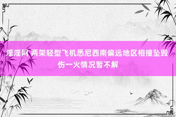 淫淫网 两架轻型飞机悉尼西南偏远地区相撞坠毁 伤一火情况暂不解