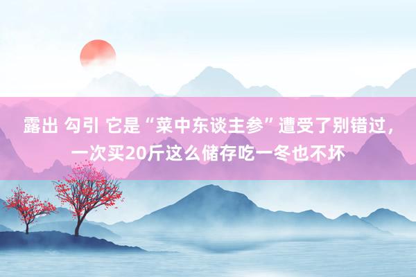 露出 勾引 它是“菜中东谈主参”遭受了别错过，一次买20斤这么储存吃一冬也不坏