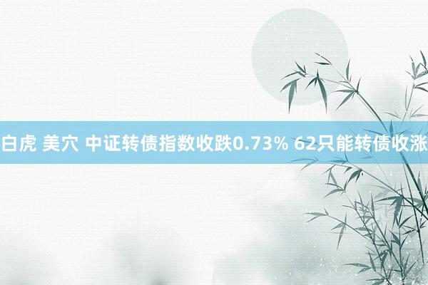 白虎 美穴 中证转债指数收跌0.73% 62只能转债收涨