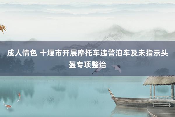 成人情色 十堰市开展摩托车违警泊车及未指示头盔专项整治