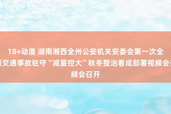 18+动漫 湖南湘西全州公安机关安委会第一次全会暨交通事故驻守“减量控大”秋冬整治看成部署视频会召开