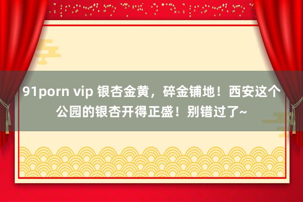 91porn vip 银杏金黄，碎金铺地！西安这个公园的银杏开得正盛！别错过了~