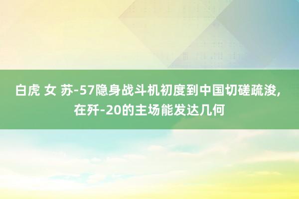 白虎 女 苏-57隐身战斗机初度到中国切磋疏浚， 在歼-20的主场能发达几何