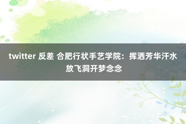 twitter 反差 合肥行状手艺学院：挥洒芳华汗水 放飞洞开梦念念