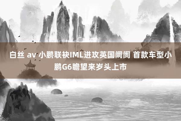 白丝 av 小鹏联袂IML进攻英国阛阓 首款车型小鹏G6瞻望来岁头上市