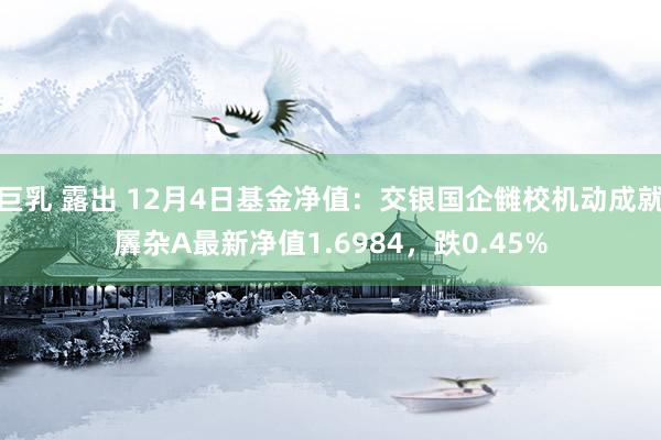 巨乳 露出 12月4日基金净值：交银国企雠校机动成就羼杂A最新净值1.6984，跌0.45%