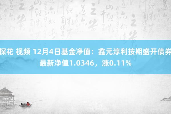 探花 视频 12月4日基金净值：鑫元淳利按期盛开债券最新净值1.0346，涨0.11%