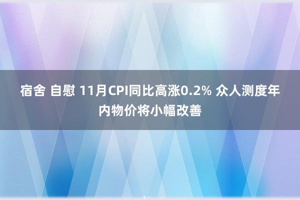 宿舍 自慰 11月CPI同比高涨0.2% 众人测度年内物价将小幅改善