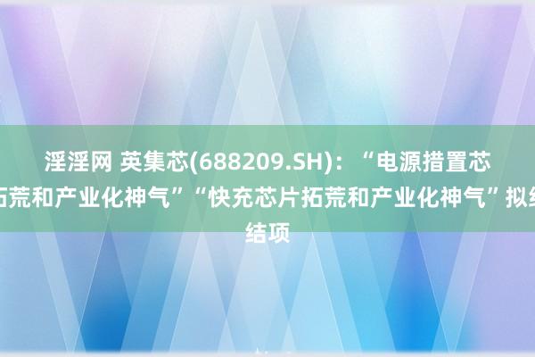 淫淫网 英集芯(688209.SH)：“电源措置芯片拓荒和产业化神气”“快充芯片拓荒和产业化神气”拟结项