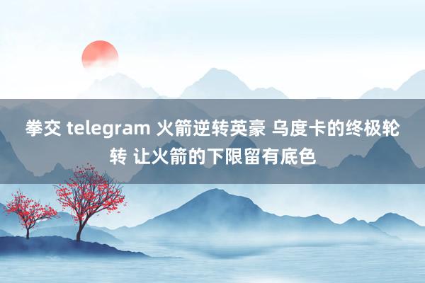 拳交 telegram 火箭逆转英豪 乌度卡的终极轮转 让火箭的下限留有底色