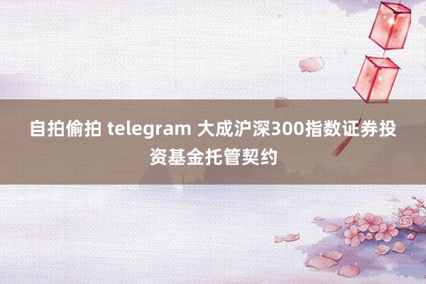 自拍偷拍 telegram 大成沪深300指数证券投资基金托管契约