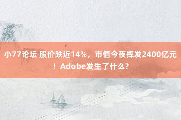 小77论坛 股价跌近14%，市值今夜挥发2400亿元！Adobe发生了什么?