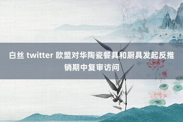 白丝 twitter 欧盟对华陶瓷餐具和厨具发起反推销期中复审访问