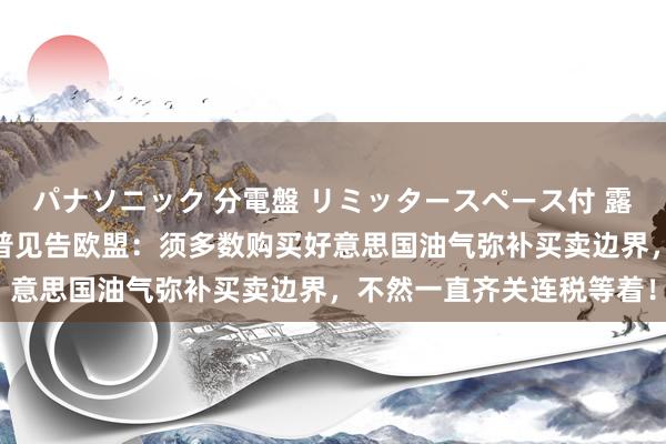 パナソニック 分電盤 リミッタースペース付 露出・半埋込両用形 特朗普见告欧盟：须多数购买好意思国油气弥补买卖边界，不然一直齐关连税等着！