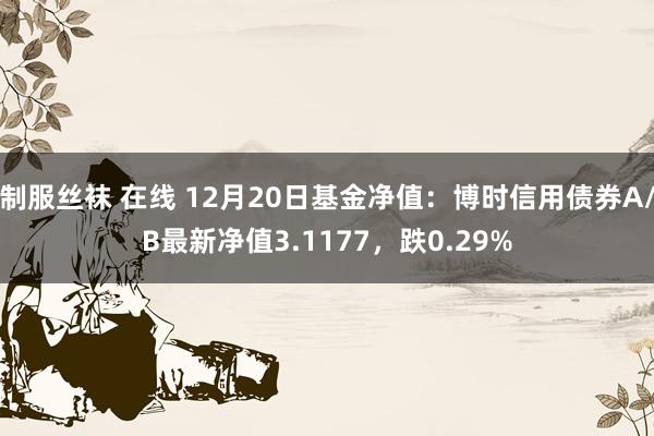 制服丝袜 在线 12月20日基金净值：博时信用债券A/B最新净值3.1177，跌0.29%