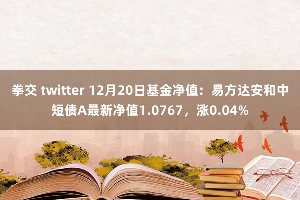 拳交 twitter 12月20日基金净值：易方达安和中短债A最新净值1.0767，涨0.04%