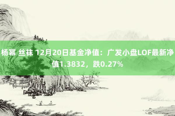 杨幂 丝袜 12月20日基金净值：广发小盘LOF最新净值1.3832，跌0.27%