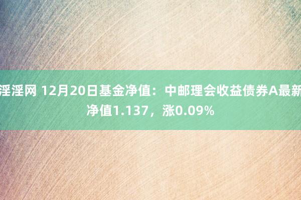 淫淫网 12月20日基金净值：中邮理会收益债券A最新净值1.137，涨0.09%