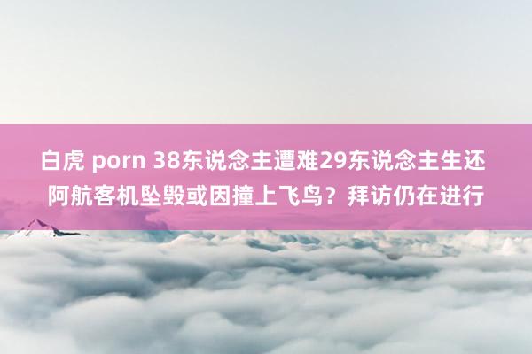 白虎 porn 38东说念主遭难29东说念主生还 阿航客机坠毁或因撞上飞鸟？拜访仍在进行