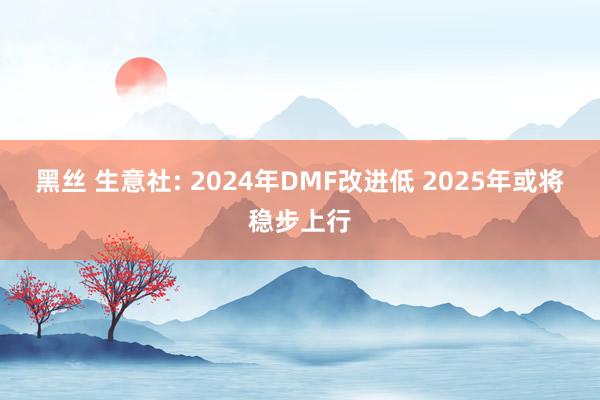 黑丝 生意社: 2024年DMF改进低 2025年或将稳步上行