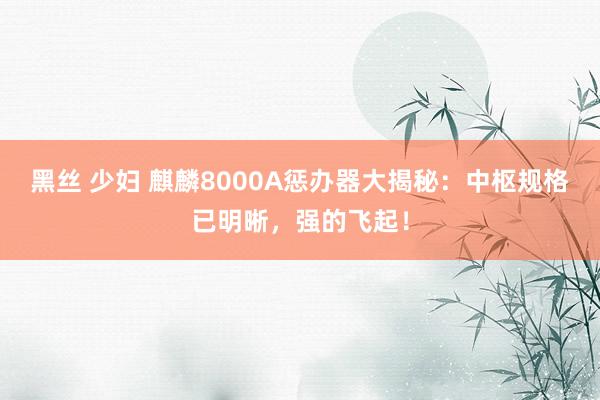 黑丝 少妇 麒麟8000A惩办器大揭秘：中枢规格已明晰，强的飞起！