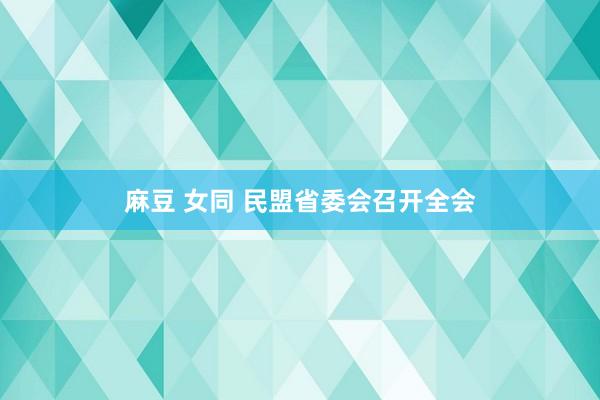 麻豆 女同 民盟省委会召开全会